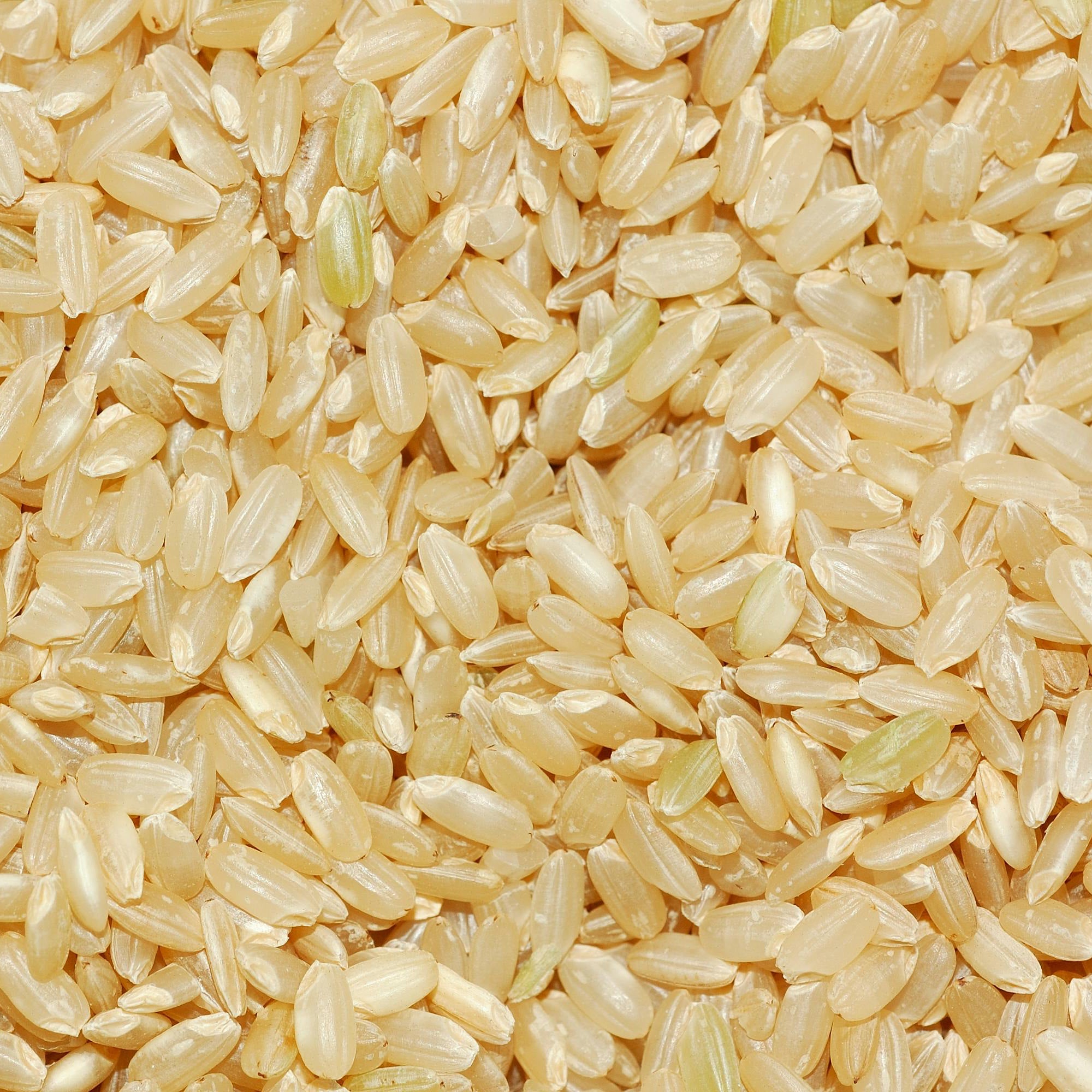Premium Natural Brown Rice | Premium Whole Grain | Horn of Plenty ...