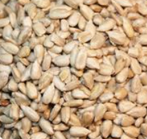 Organic Sunflower Seeds Kernel