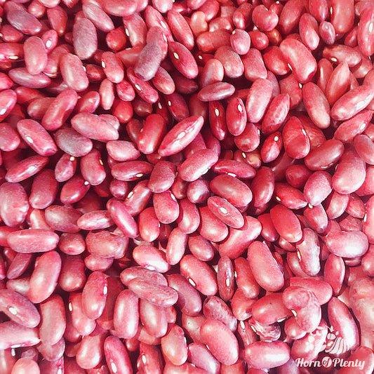 HOPAUS Beans & Grains Australian Adzuki Bean 100% Natural