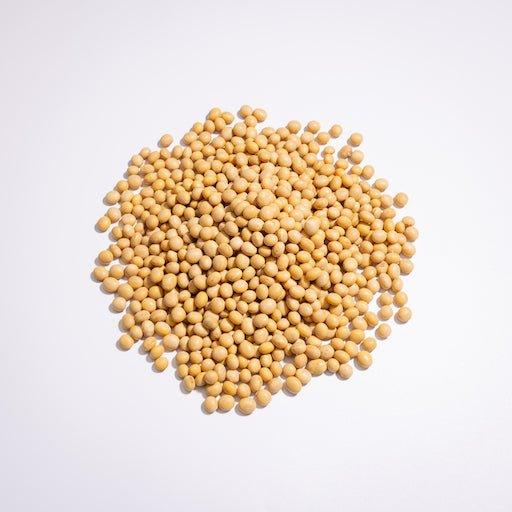 HOPAUS Beans & Grains Australian Organic Soybean