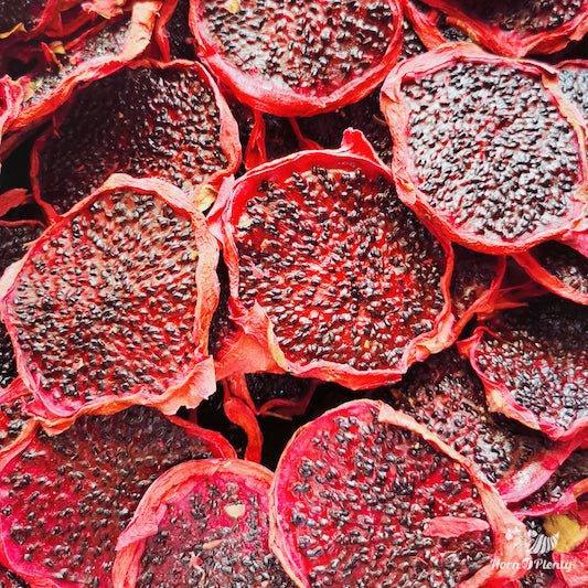 HOPAUS Dried Fruits Dehydrated Australian 100% Natural Red Dragon Fruit Slice Only