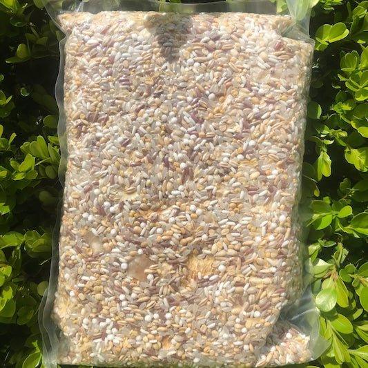 HOPAUS Beans & Grains 1kg Mung Bean & Lily Cereal（1kg gram pack）