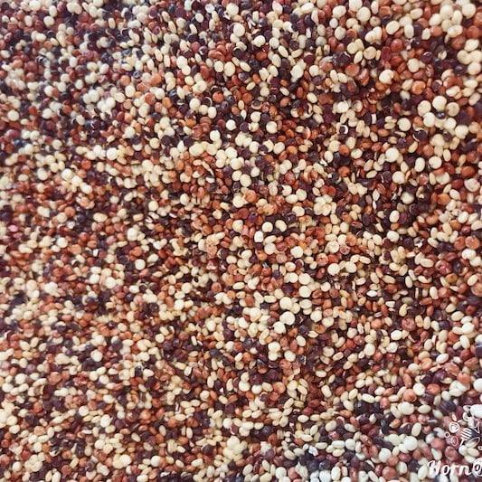 HOPAUS  Beans & Grains Organic Quinoa Grain Mix